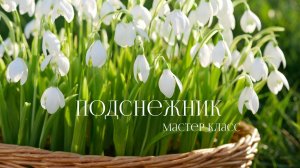 Подснежник из холодного фарфора мастер класс