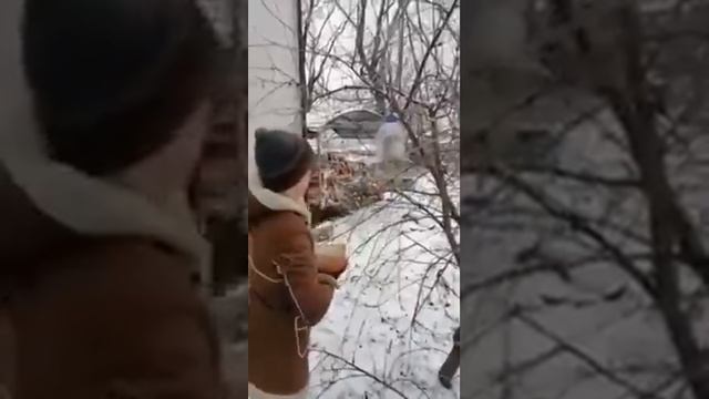 Акция "Покормите птиц зимой!" смотреть онлайн