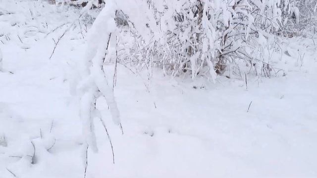 Первый снег смотреть онлайн