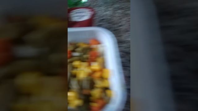 Питание в фирменнном поезде Кавказ