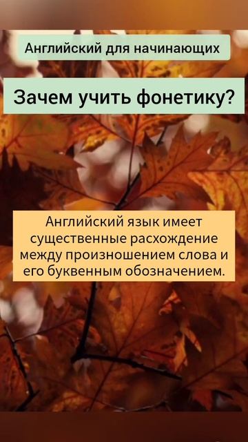 Зачем учить фонетику? Английский язык для начинающих