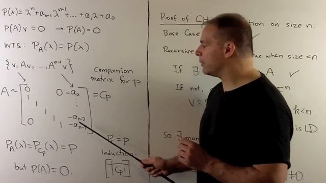 Cayley-Hamilton Theorem: General Case