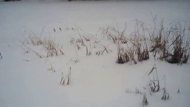 Анонсы на новые видео на данном моём канале.Какими и когда примерно они будут смотреть онлайн