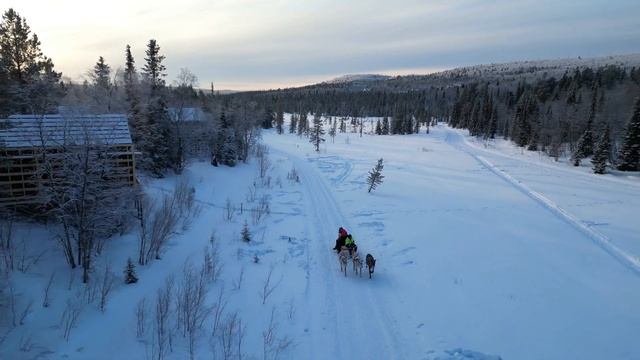 здесь сбываются мечты | Мурманск смотреть онлайн