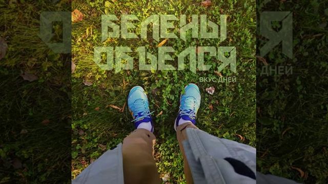 Белены Объелся - Чувство Юмора смотреть онлайн