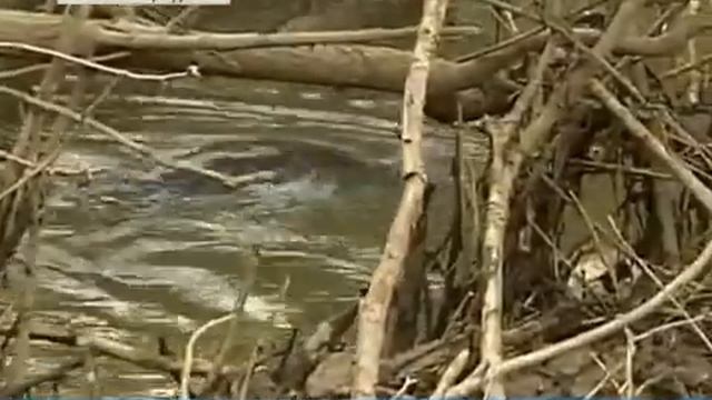 ОРТ 4 смотреть онлайн