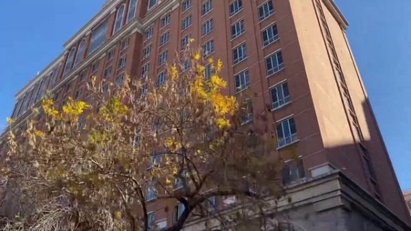 VLOG 18 天津外国语大学 ТЯНЬЦЗИНЬСКИЙ УНИВЕРСИТЕТ ИНОСТРАННЫХ ЯЗЫКОВ