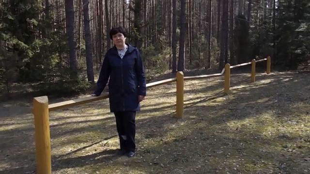 По местам боевой славы Голубичской пущи смотреть онлайн