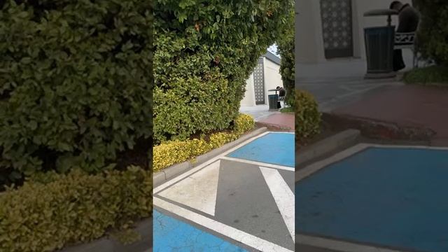 В турецком кафе / Ответы на ваши вопросы смотреть онлайн