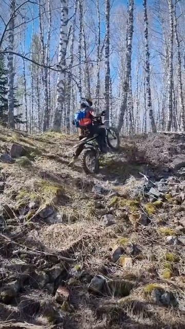 Regulmoto ZR 4 valves в своей стихии ￼⛰️ Andre MAN у руля) смотреть онлайн