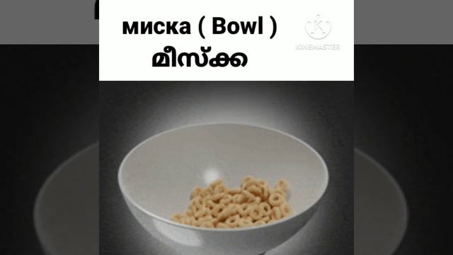 Russian language in Malayalam 406 смотреть онлайн