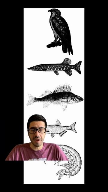 Learn About Hydrogen (1) In Less Than 1 Minute!