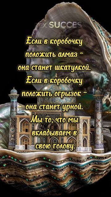 Цитаты Если в коробочку положить алмаз – она станет шкатулкой. Если в #мудрыецитаты #любовь #шортс смотреть онлайн