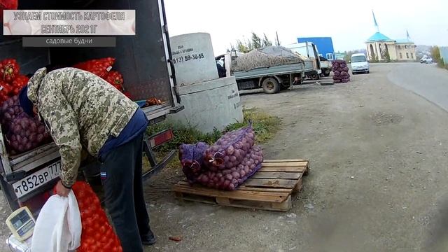 Узнаем сколько стоит в сентябре 2021 картофель смотреть онлайн