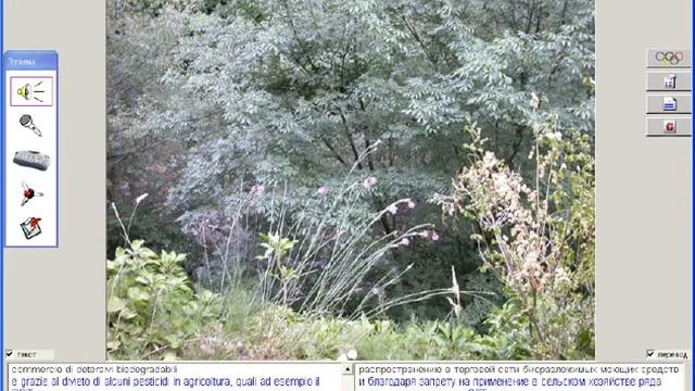 Итальянский язык 5-9 классы. Отдых в Италии. Экология. Урок 97 смотреть онлайн