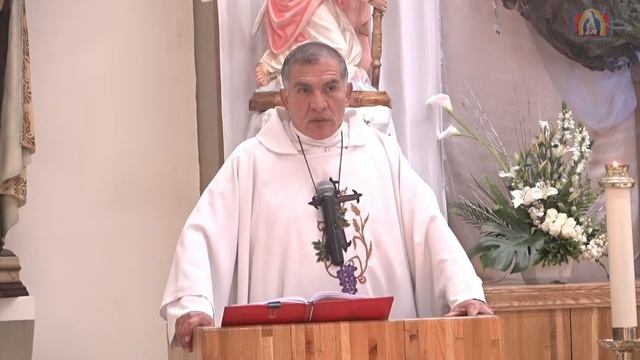 🔴 EN VIVO–Misa en sufragio por las almas benditas del purgatorio 6 am/09/04/2024 P. Rayito MJM смотреть онлайн