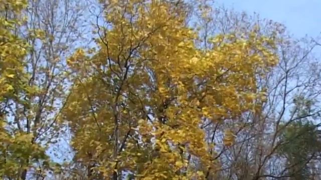 Артем крутой оператор# Лавстори школьников -16 смотреть онлайн