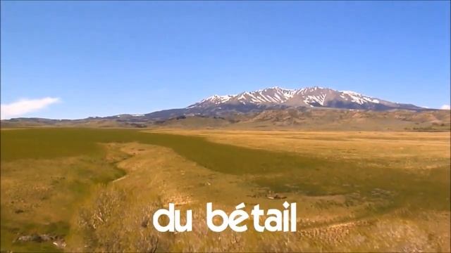 Французский язык для начинающих # du bétail смотреть онлайн
