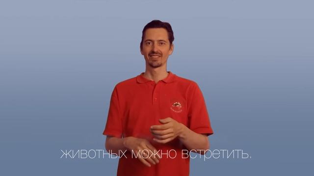 Словарь РЖЯ: 