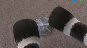 Непоседа Зу. 38  серия. Возвращение кометы