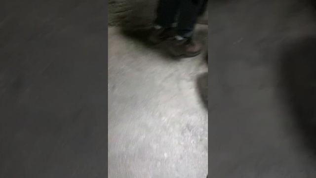 Лагерь городской/VLOG смотреть онлайн