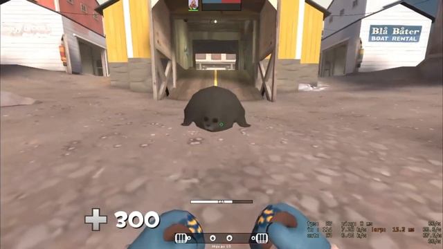Тюлень из Team Fortress 2 (^_^)