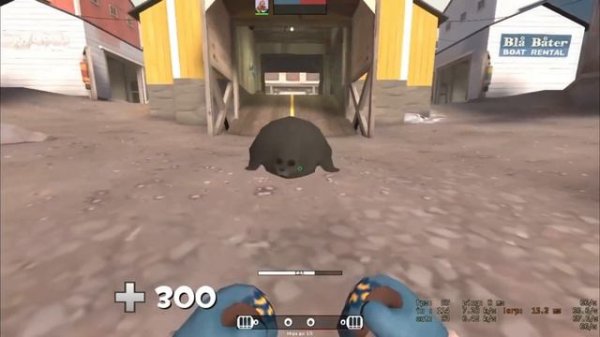 Тюлень из Team Fortress 2 (^_^)
