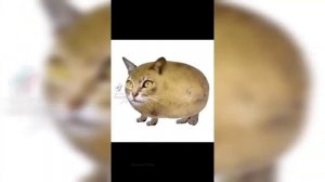 Мышка сосиска Собачка жвачка Кошка картошка Ку-ку я немножко (Не мой)