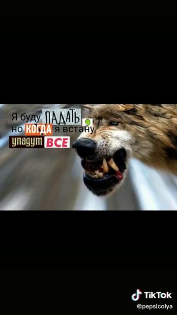 Волк смотреть онлайн