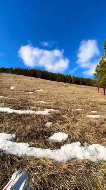 GAS GAS EC300 смотреть онлайн