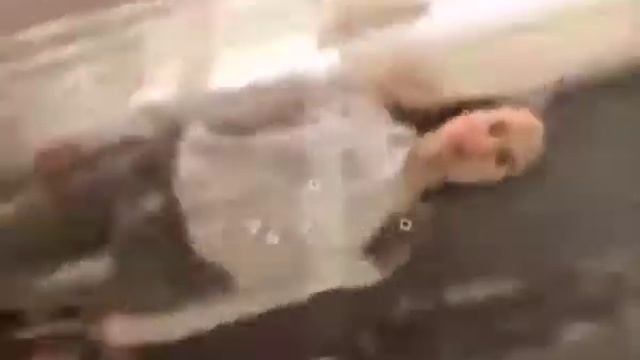 День языков смотреть онлайн