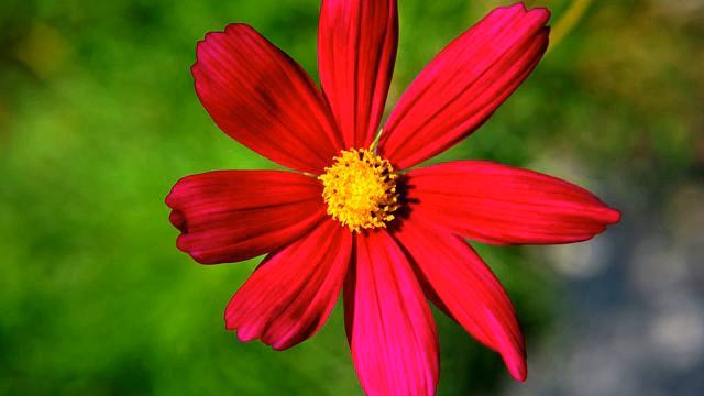 Лучший русский трек и видео онлайн смотреть онлайн