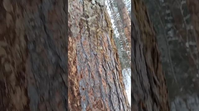 27 февраля 2024 г. смотреть онлайн