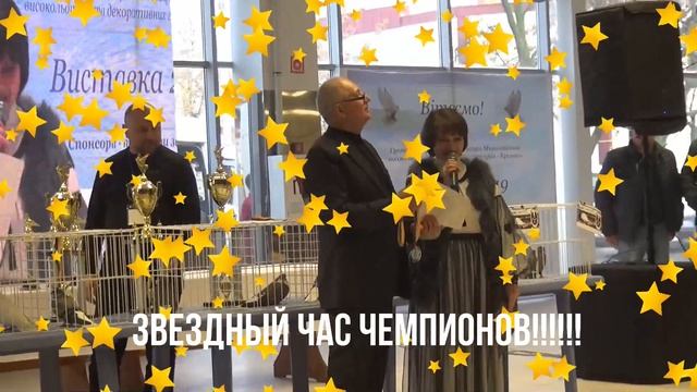 Победители третьей Всеукраинской выставки г. Кременьчук 2019 . Николаевские голуби. смотреть онлайн