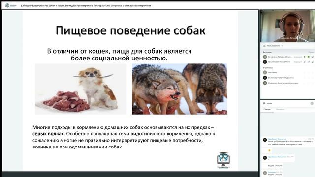 Фрагмент вебинара "Пищевое расстройство собак и кошек: взгляд гастроэнтеролога". Татьяна Смирнова смотреть онлайн