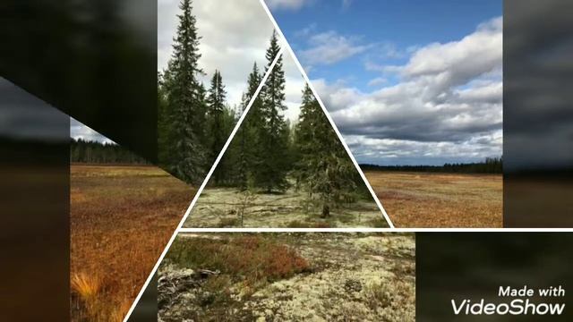 Неописуемая кРАсота приРОДы Осени РАйона Печорского смотреть онлайн