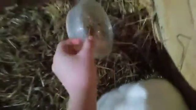 Первая декада февраля. смотреть онлайн