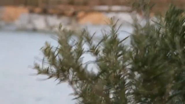 PROBANDO MI EOS 7D смотреть онлайн