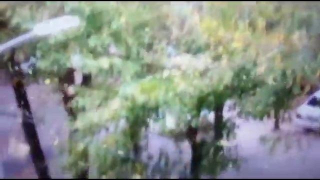 Такого листопада вы не видели !!! Казахстан Алматы 2020 . Брат прислал видео по Скайпу. смотреть онлайн