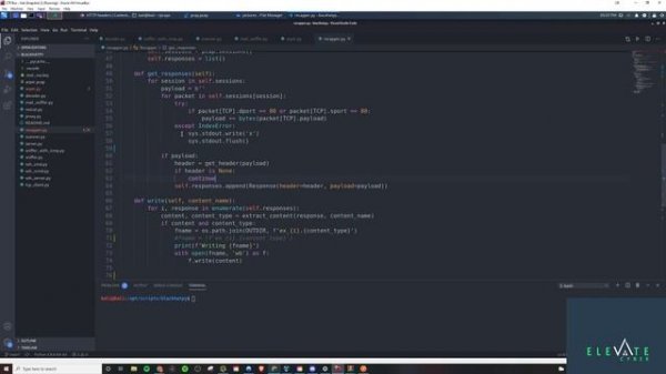 19 Extracting Images From Wireshark Captures - Black Hat Python