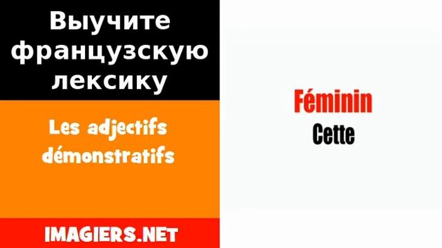 Курсы французского языка = Les adjectifs démonstratifs смотреть онлайн