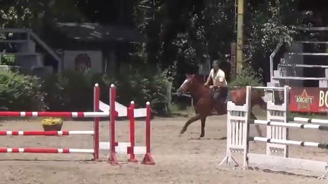 Camila, CAE. 6/7 años. 1.20 (A.S FE GRANDE x GAMA RENATA x RIVAL Z) смотреть онлайн
