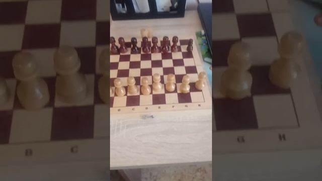 2 урок. Рубрика "Уроки для начинающих".В этом уроке расскажу о том как ходят пешки. смотреть онлайн