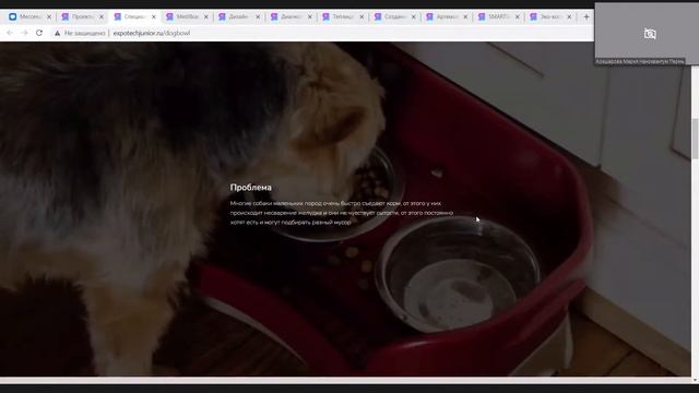 Expo-TECH Junior . День 2. Утро. смотреть онлайн