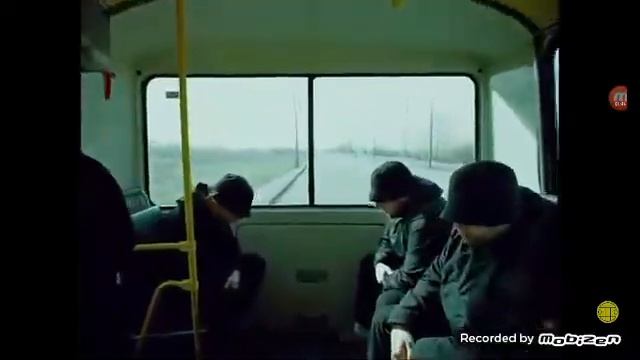 Реакция на Грибы тает лёд смотреть онлайн