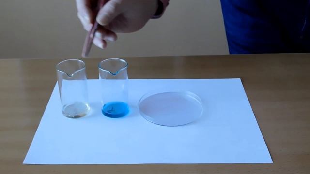 9 класс. Химия. Лаб. оп. №7. Взаимодействие металлов с растворами солей