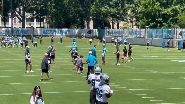 The Carolina Panthers Have EMERGING Stars In OTAs... | Panthers News | Day 4 OTA Highlights смотреть онлайн