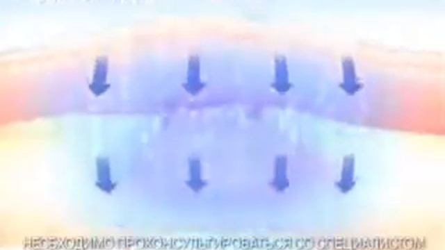 Lioton 1000 Bulgaria TV Ads смотреть онлайн
