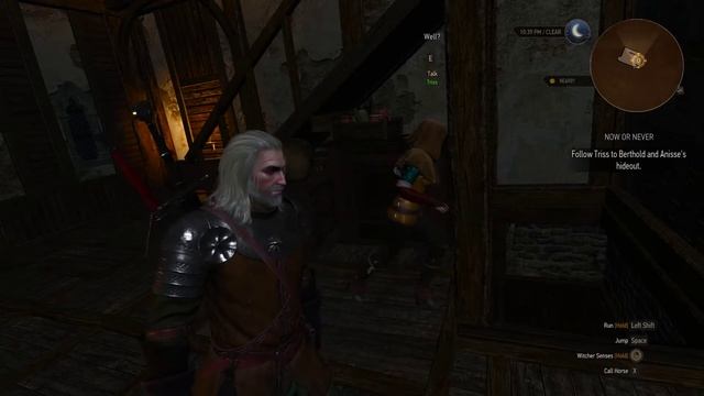 Triss Merigold: Mage for Hire смотреть онлайн
