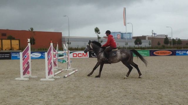Elegance M STALLION 2009 (BERLIN X G. RAMIRO Z X DARCO) смотреть онлайн
